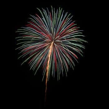 马年首批可转债开启发行 再融资新规或推动市场持续扩容 新闻