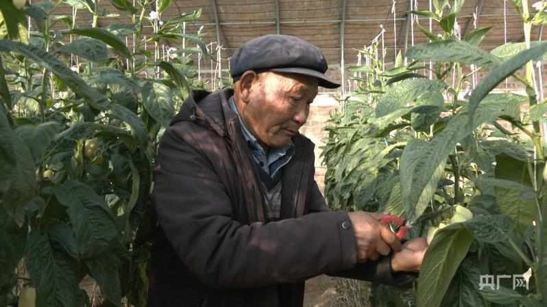  【习声回响】让老百姓幸福就是党的事业_0225005839 新闻 【习声回响】让老百姓幸福就是党的事业_0225005839 新闻