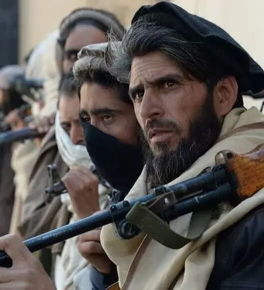  牛弹琴：一觉醒来，这两个邻国大打出手了 新闻