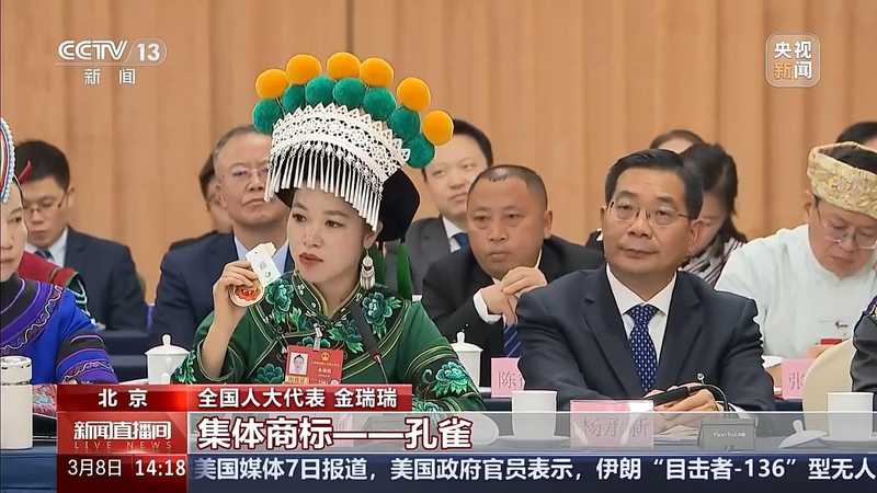 绣针舞动间,古老街巷苏醒;代表们讲述文化如何留住人心。 文化旅游