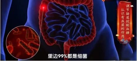  冷却米饭暗藏健康玄机；抗性淀粉开启肝脏修复新路径。 健康养生