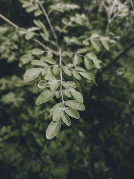  投资之路需谨慎前行；宽德投资强调逆周期纪律；长期顺应大势短期保持克制。 股票财经 投资之路需谨慎前行；宽德投资强调逆周期纪律；长期顺应大势短期保持克制。 股票财经