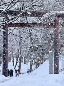历史沉冤待雪,追索日本劫掠文物刻不容缓 新闻