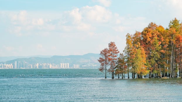 为何科陆电子前三季盈利却在年末“变脸”?深度揭秘财报背后的隐忧 股票财经