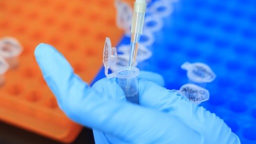  显示面板行业如何破局？看龙头企业如何实现两千亿营收的二次跨越 企业服务