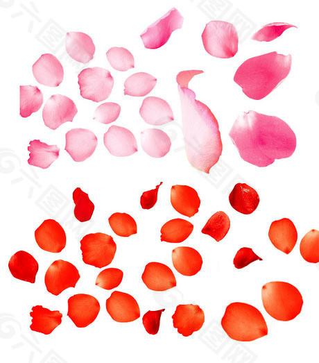  虚火如何被监管浇灭？透视再融资新规对资本运作的硬性约束。 企业服务