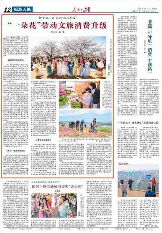 【技术解码】从「到此一游」到「沉浸消费」:赏花游产业的底层逻辑重构 文化旅游