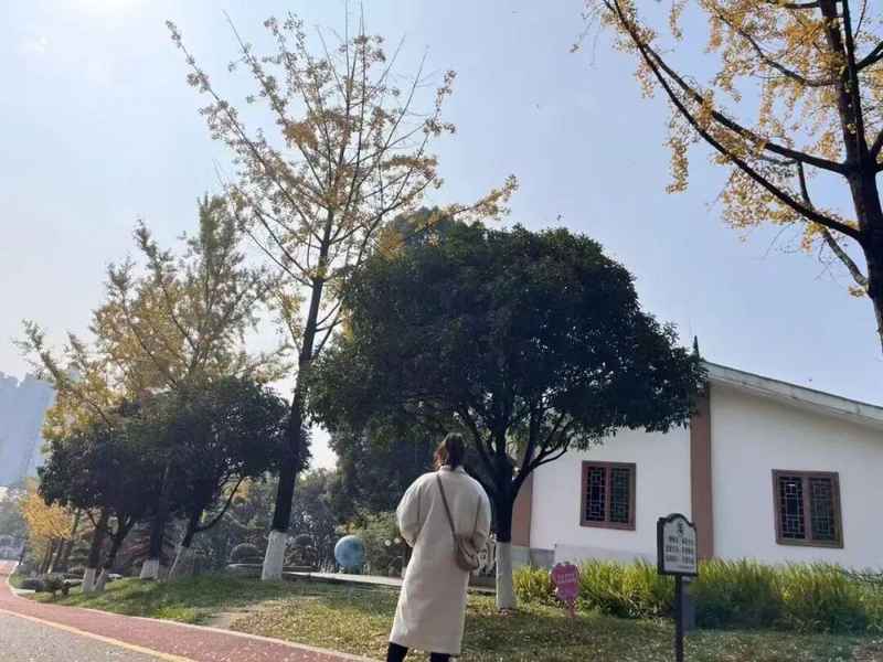 【气象解密】三月初六与倒春寒的量化关联:基于农谚数据的气候预测逻辑 文化旅游