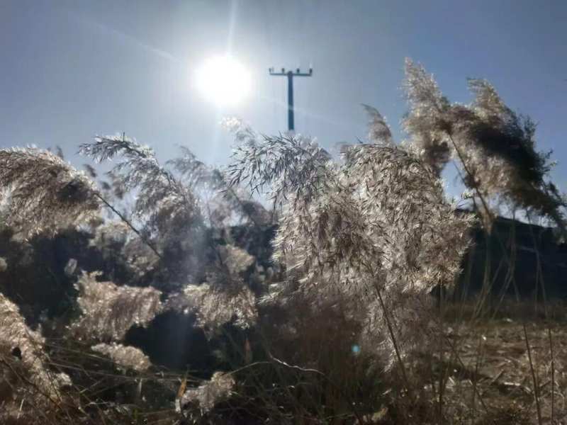 【气象解密】三月初六与倒春寒的量化关联:基于农谚数据的气候预测逻辑 文化旅游
