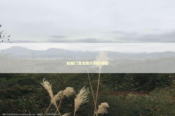 四部门发文助力科技保险 四部门发文助力科技保险 新闻