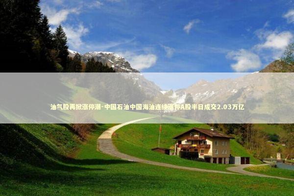 油气股再掀涨停潮-中国石油中国海油连续涨停A股半日成交2.03万亿 新闻