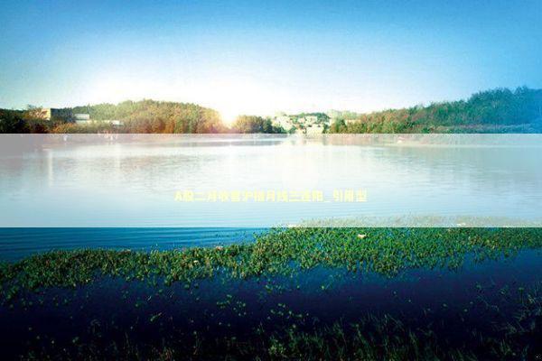 A股二月收官沪指月线三连阳_引用型 新闻