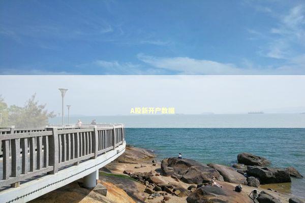 A股新开户数据 新闻