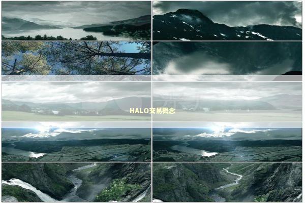 HALO交易概念 HALO交易概念 新闻