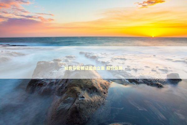 双良节能被证监会立案 股价涨停 新闻