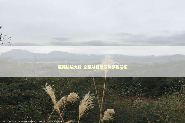 英伟达放大招 全新AI推理芯片即将发布 英伟达放大招 全新AI推理芯片即将发布 新闻