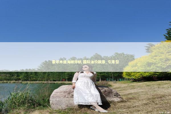 霍尔木兹海峡停航 国际油价飙涨_引用型 新闻