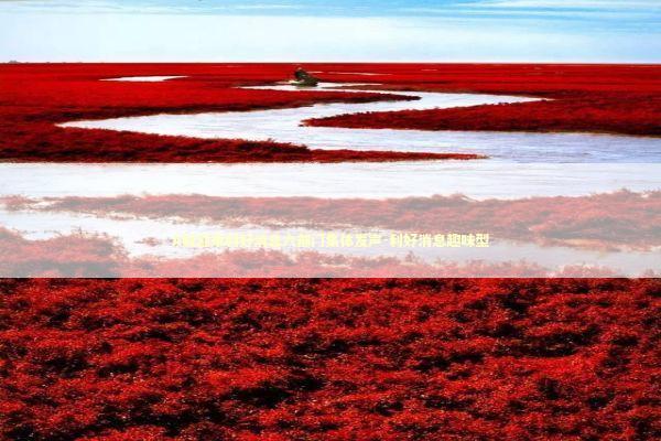 A股迎来利好消息六部门集体发声-利好消息趣味型 A股迎来利好消息六部门集体发声-利好消息趣味型 新闻