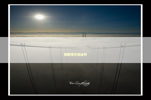 碳酸锂价格反转 新闻