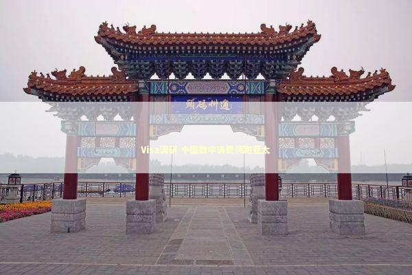 Visa调研 中国数字消费领跑亚太 新闻