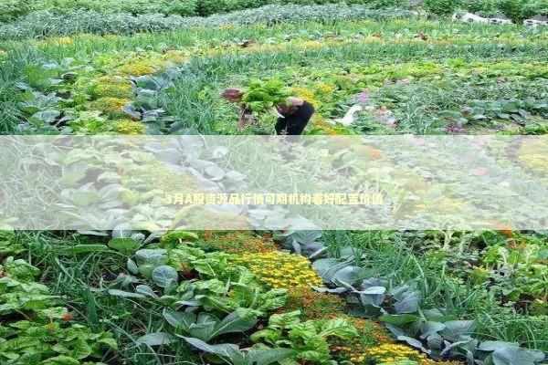 3月A股资源品行情可期机构看好配置价值 3月A股资源品行情可期机构看好配置价值 新闻