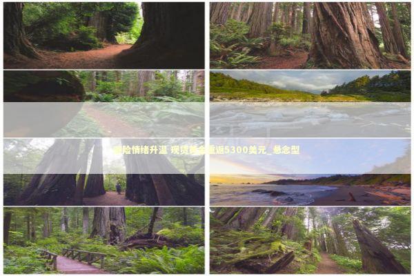 避险情绪升温 现货黄金重返5300美元_悬念型 避险情绪升温 现货黄金重返5300美元_悬念型 新闻