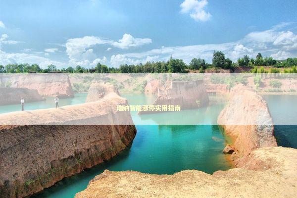 瑞纳智能涨停实用指南