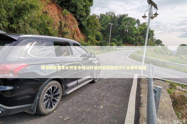 隆基绿能董事长钟宝申建议扶优限劣鼓励光伏行业兼并重组 隆基绿能董事长钟宝申建议扶优限劣鼓励光伏行业兼并重组 新闻