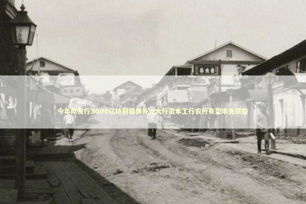 今年拟发行3000亿特别国债补充大行资本工行农行有望率先获益 新闻