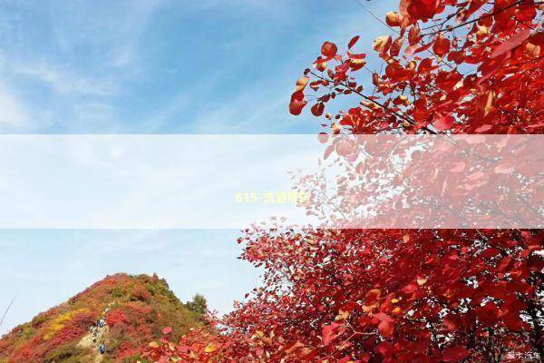 615-流感用药 新闻