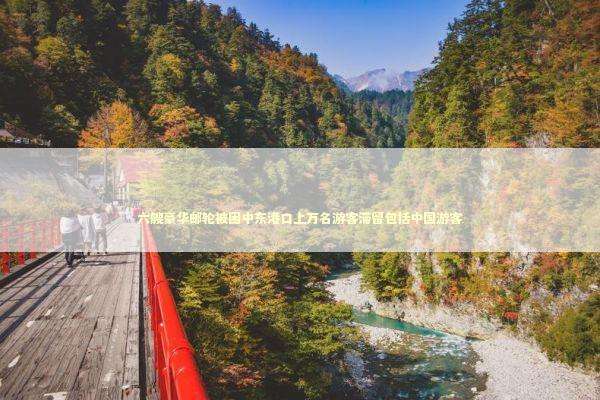 六艘豪华邮轮被困中东港口上万名游客滞留包括中国游客 新闻