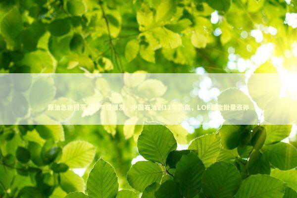 原油急速回落，油气股爆发，中国石油创11年新高，LOF基金批量涨停 新闻