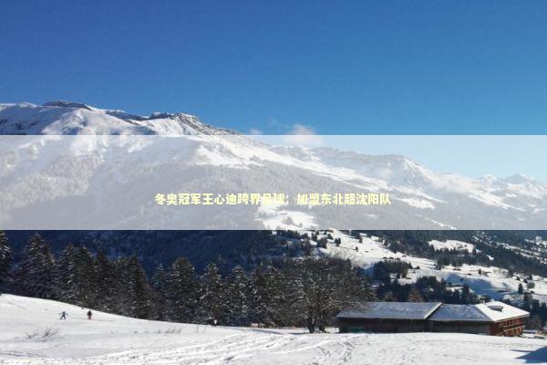 冬奥冠军王心迪跨界足球：加盟东北超沈阳队 新闻