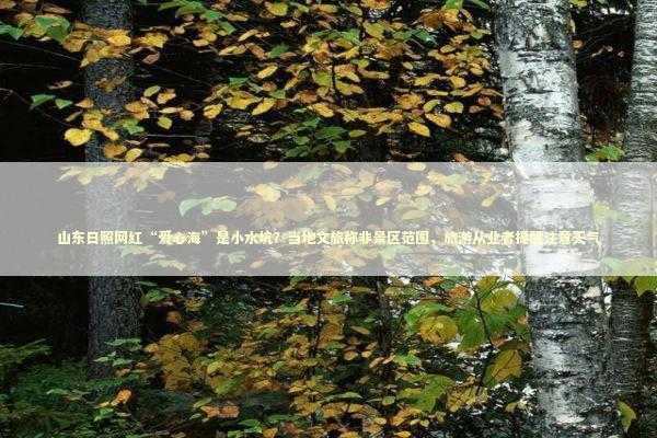 山东日照网红“爱心海”是小水坑？当地文旅称非景区范围，旅游从业者提醒注意天气 新闻