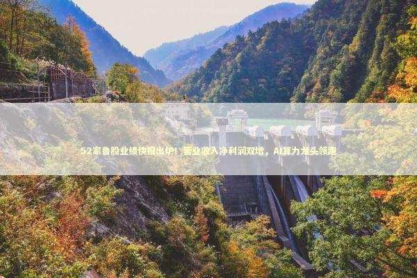 52家鲁股业绩快报出炉！营业收入净利润双增，AI算力龙头领跑 新闻