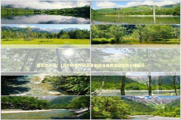 国家统计局：2月PMI有所回落非制造业商务活动指数小幅回升 新闻