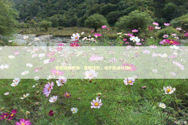 美联储施密德:通胀过热,绝不能掉以轻心 美联储施密德:通胀过热,绝不能掉以轻心 新闻