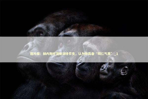 图片报:赫内斯欣赏施洛特贝克,认为他具备“拜仁气质”_1 图片报:赫内斯欣赏施洛特贝克,认为他具备“拜仁气质”_1 新闻