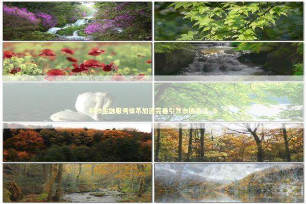 科技金融服务体系加速完善引发市场关注_9 科技金融服务体系加速完善引发市场关注_9 新闻