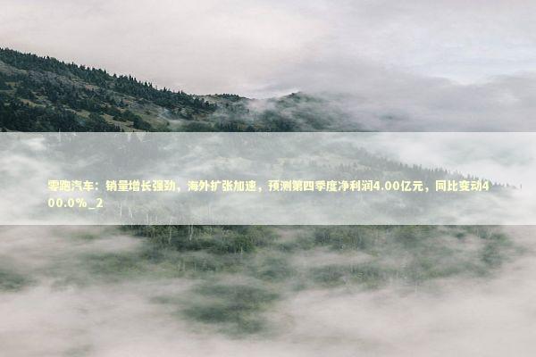 零跑汽车：销量增长强劲，海外扩张加速，预测第四季度净利润4.00亿元，同比变动400.0%_2 新闻