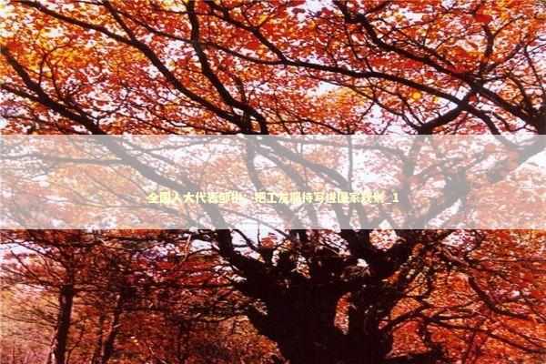 全国人大代表邹彬:把工友期待写进国家规划_1 全国人大代表邹彬:把工友期待写进国家规划_1 新闻