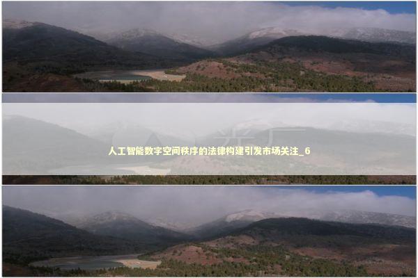 人工智能数字空间秩序的法律构建引发市场关注_6 人工智能数字空间秩序的法律构建引发市场关注_6 新闻