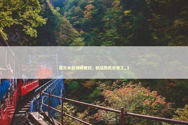 霍尔木兹海峡被封，航运股机会来了_1 新闻