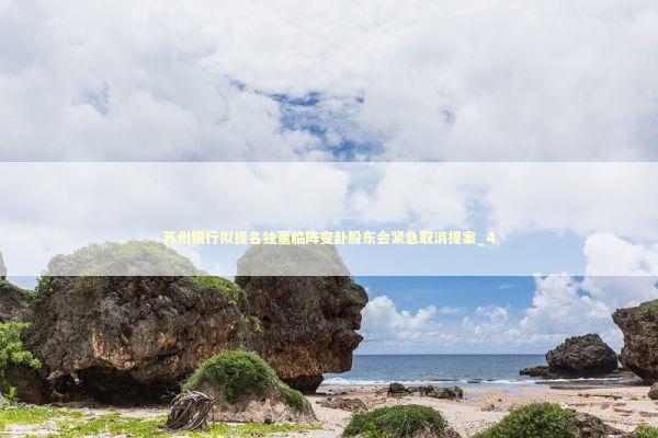 苏州银行拟提名独董临阵变卦股东会紧急取消提案_4 苏州银行拟提名独董临阵变卦股东会紧急取消提案_4 新闻