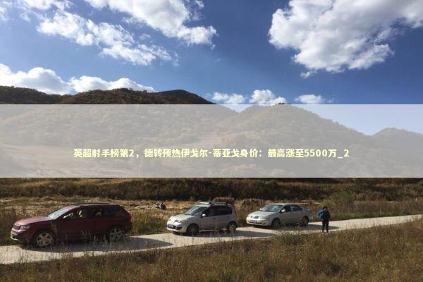 英超射手榜第2，德转预热伊戈尔-蒂亚戈身价：最高涨至5500万_2 新闻