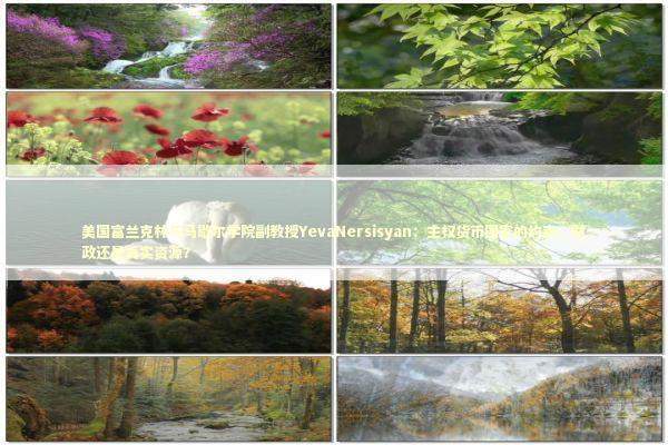 美国富兰克林与马歇尔学院副教授YevaNersisyan:主权货币国家的约束:财政还是真实资源? 美国富兰克林与马歇尔学院副教授YevaNersisyan:主权货币国家的约束:财政还是真实资源? 新闻