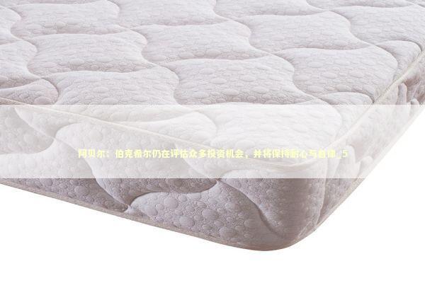 阿贝尔:伯克希尔仍在评估众多投资机会,并将保持耐心与自律_5 阿贝尔:伯克希尔仍在评估众多投资机会,并将保持耐心与自律_5 新闻