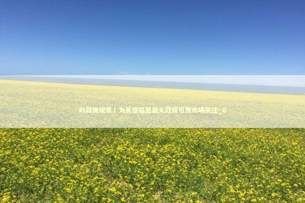 时政微观察丨为民造福是最大政绩引发市场关注_6 新闻
