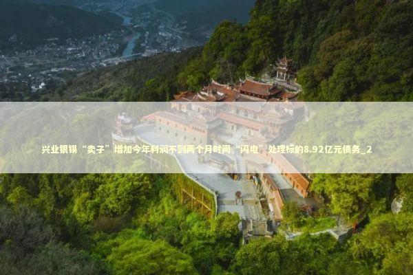 兴业银锡“卖子”增加今年利润不到两个月时间“闪电”处理标的8.92亿元债务_2 兴业银锡“卖子”增加今年利润不到两个月时间“闪电”处理标的8.92亿元债务_2 新闻