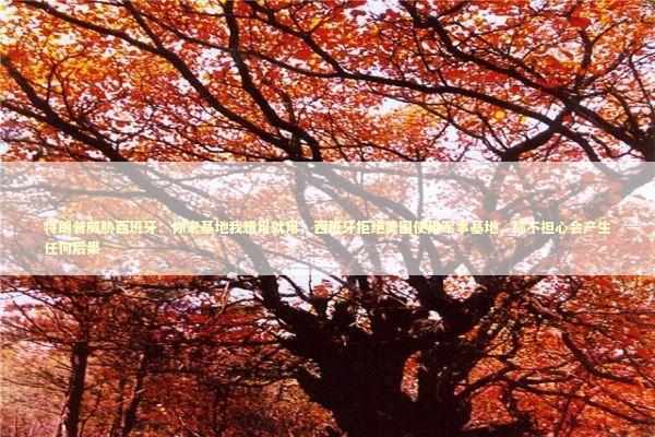 特朗普威胁西班牙：你家基地我想用就用；西班牙拒绝美国使用军事基地，称不担心会产生任何后果 新闻